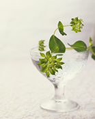 ���i�C���[�W